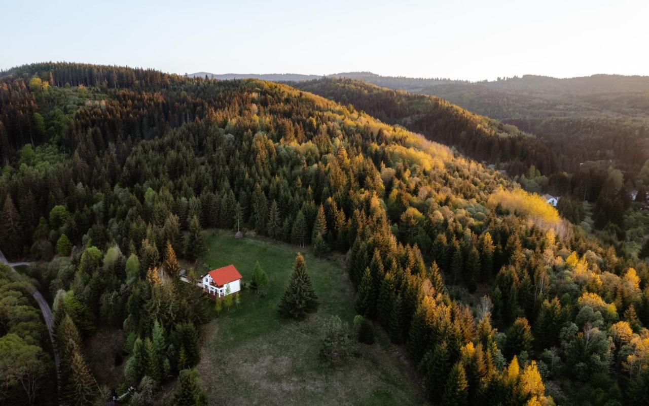 Casa Cifu Toplita Villa Bagian luar foto