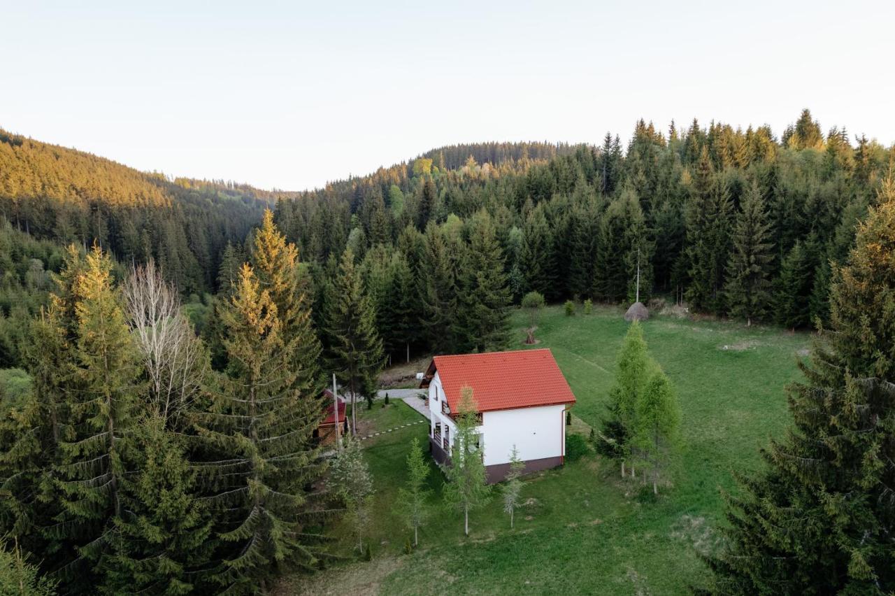 Casa Cifu Toplita Villa Bagian luar foto